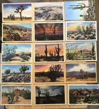 19 Beautiful Ca Desert Linen Vintage California Trees Bushes Sunset Postcards picture