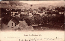 Friendship, NY, Birdseye View 0f Village, Postcard, 1908, #1521 picture