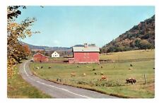 Greetings From Schoharie, New York Postcard Farm Scene on Route 30 Cow Farm picture