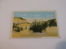 Provincetown, Mass. Cape Cod Beach Grass and Sand Dunes Postcard picture
