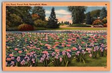 Springfield, Massachusetts MA - Lily Pond - Forest Park - Vintage Postcard picture
