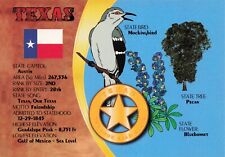 Texas Information Vintage Continental Postcard Unposted picture