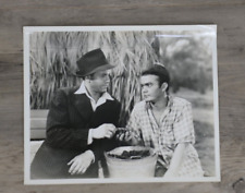 The Treasure of The Sierra Madre Movie Humphrey Bogart Pictures 8x10