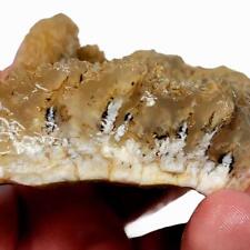 Stinking Water Plume Agate Rough Chunk picture