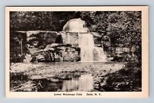 Delhi NY-New York, Scenic View Lower Wautauga Falls, Antique Vintage Postcard picture
