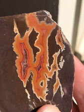 Dryhead agate, Pryor mointains, Carbon county, Montana, USA picture