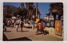 Postcard Vintage Catalina Art Festival Avalon California Island picture