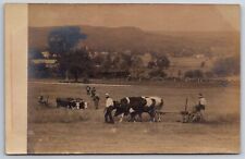 Farming~Oxen Teams Help Farmers Plow In The Field~Town Beyond~c1905 RPPC picture