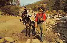 Prospector Old Ben Fullingim & Nugget Tuolumne County Postcard California UNPOST picture