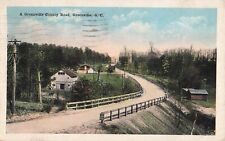 Greenville, South Carolina  Postcard County Road  Postmark 1921    A4 picture