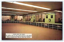 c1960's Display Ape Detroit Zoological Park Exhibit Royal Oak Michigan Postcard picture