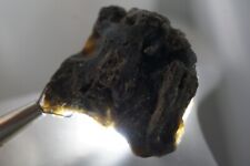 Darwin Glass - 26g - Austalite - Darwinite - tektite - impactite #big20. picture