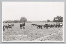 Kemper Campbell Ranch Victorville California Horses Cattle c1950 RPPC Unposted picture