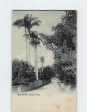 Postcard Royal Palms Bermuda British Overseas Territory picture