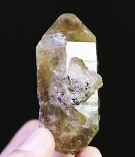 Natural Original Golden Hair Rutilated Quartz Crystal Cluster Point Specimen picture
