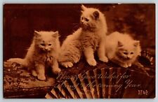 VTG 1910s 3 Cute Kittens on Pillow Hand Fan Best Wishes X-mas New Years Postcard picture