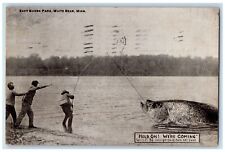 1917 East Shore Park White Bear Minnesota MN Fishermen Exaggerated Fish Postcard picture