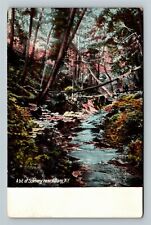 Albany NY-New York, Scenic Creek View Near Albany Vintage Souvenir Postcard picture