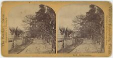 FLORIDA SV - Jacksonville - At The Landing - Southern Series 1880s picture