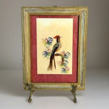 Feather Craft Vintage Mexican Folk Art Bird Framed Pheasant Feathers Picture 70s picture