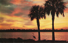 Postcard Florida Beautiful Sunset Palms Tropical c1971 FL  picture