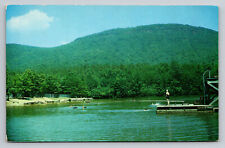 Delta Alabama Cheaha Lake Swimming Hole State Park AL Postcard picture