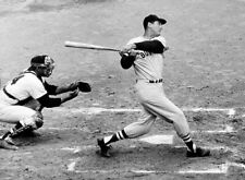 Ted Williams Takes a Swing 1941 Boston Red Sox Photo Print Poster picture