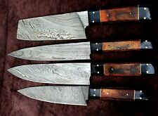 CUSTOM HANDMADE HAND FORGED DAMASCUS STEEL CHEF KITCHEN KNIVE SET BBQ KNIVES SET picture