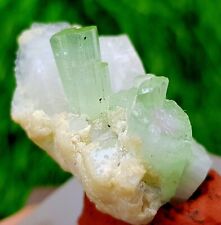 12 Gram Top Quality Bunch Of Green Tourmaline Crystals ON Specimen @ Paprok Afgh picture