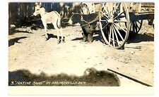 Springerville AZ -CAPTIVE BEAR & BABY DONKEY- RPPC Postcard Arizona/Chained picture