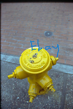 Greenberg San Francisco Yellow Fire Hydrant 35mm photo slide 1979 picture