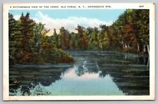 Picturesque View of the Old Creek. Old Forge. Adirondacks NY Vintage Postcard picture