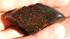 Dinosaur Fossil “Black Ruby Tuesday” Jurassic Petrified Jewelry Stone 23gr-1oz picture