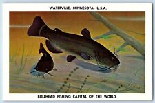 Waterville Minnesota MN Postcard Bullhead Fishing Capital World Portrait c1960 picture