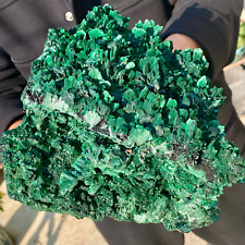 5.62LB Large  Natural green Malachite crystal fiber cluster rough mineral sample picture