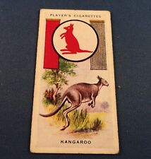 c1933 Boy Scout Collector Card - British Patrol Signs & Emblems:   KANGAROO picture