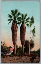 Twin Palms Pasadena CA Postcard c1910s Edward Mitchell No. 1195 picture