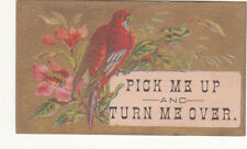 E P Stone Plain & Ornamental Job Printer Bangor ME Red Bird Vict Card c1880s picture