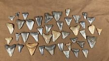 Prehistoric Megalodon Benedeni Great White ? Shark Tooth Lot Natural Fossil Real picture