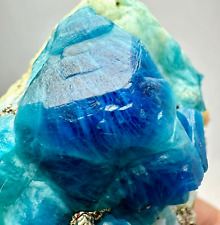 332 Gram UNUSUAL  Fluorescent Blue Hauyne Crystals, Pyrites, On Matrix @Afg picture