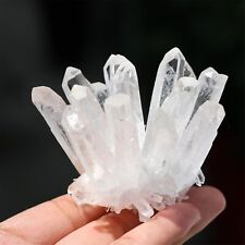 Natural Clear Quartz Cluster AAA+ Crystal Point Specimen Healing Mineral picture