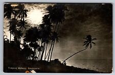 C.1910 RPPC SINGAPORE, TANJONG KATONG, SEA PALM TREES REAL PHOTO Postcard P51 picture