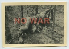 WWII ORIGINAL GERMAN PHOTO DEAD / KIA BURNT SOLDIER  picture