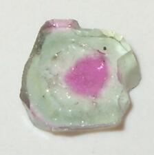 3.37ct SMALL TRANSPARENT BRAZIL NATURAL WATERMELON TOURMALINE SLICE SPECIAL picture