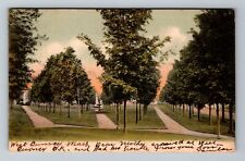 South Paris ME-Maine, Moore Park, Scenic View, c1906 Vintage Postcard picture