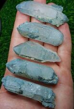Grey Chlorite Included Quartz Crystal From Skardu Pakistan#160g picture