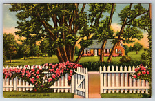 1930s Cape Cod Kings Highway Dennis Mass A Beauty Spot Vintage Postcard picture