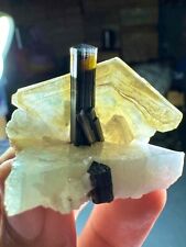 Natural Green Cap Tourmaline Crystal With Muscovite On Matrix Combine Specimen picture