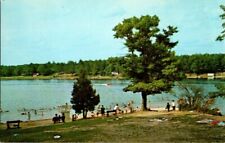 1960'S. BEACH, BUDD LAKE. HARRISON, MICH. POSTCARD. SM11 picture