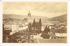 AD. Braun & Cie, France, Remiremont, Panorama Vintage Albumen Print, Cabi Card picture
